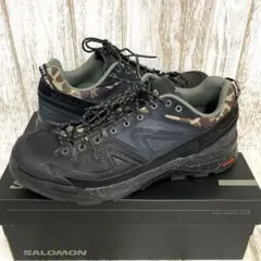 sk-4710) Carhartt WIP × Salomon X-ALPのサムネイル
