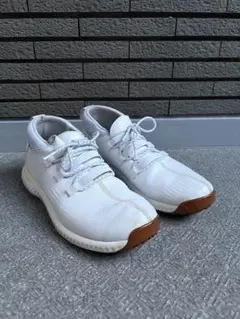 超激レア】Reebok 廃盤シューズ - メルカリ