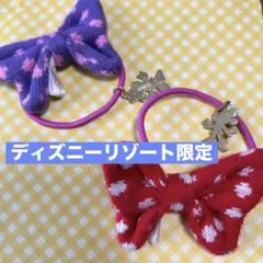 ディズニーリゾート限定⭐︎ ミニー　ヘアゴムセット