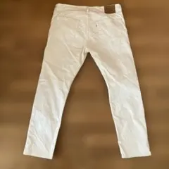 WAREHOUSE & CO. Lot 900 ホワイトデニム W32 L32 - メルカリ