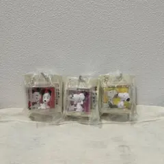 スヌーピー PEANUTS パッケージミニチュア コレクション 3つセット