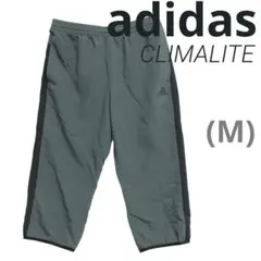 Item thumbnail for item 1d2a20cf-9ada-48f0-8edf-9ac37a7ced87