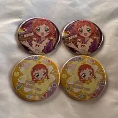 わんだふる ぷりきゅあ！ FGF 缶バッジ 犬飼いろは 4点セット - メルカリ
