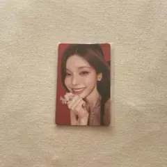 Redvelvet Irene ペンコン入場特典 - メルカリ