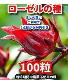 キラリン☆様 リクエスト 3点 まとめ商品