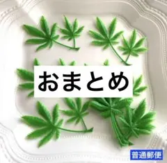 恵様 リクエスト 3点 まとめ商品