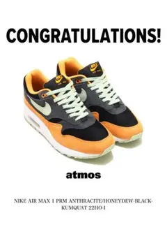 NIKE AIR MAX 1 PRM ANTHRACITE オレンジ　ジョーダン