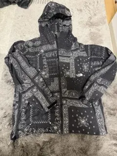THE NORTH FACE バンダナ柄 マウンテンパーカー L ペイズリー