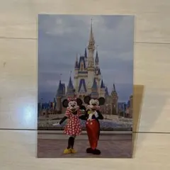 東京ディズニーリゾート ミッキー ミニー ポストカード