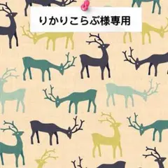 りかりこらぶ様専用