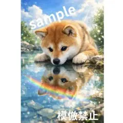 ぼくと虹が映る池 柴犬 デジタルアート 癒し 犬 風景画 水彩画風
