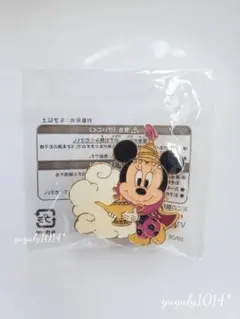 ♡ディズニーランド ミニーマウス アラジン ピンバッジ1個