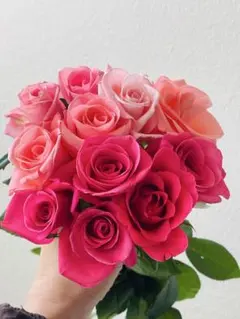 2025年最新】プロフ必読の人気アイテム - メルカリ