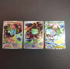 P*0様 フシギダネar,フシギソウar,メガフシギバナexsr進化ライン 3枚