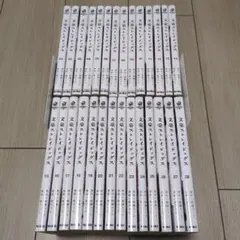 青年漫画 文豪ストレイドッグス 全巻 1〜28巻+関連本13冊セット 朝霧