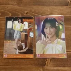 桃太郎様 リクエスト 2点 まとめ商品