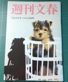 Item thumbnail for item 88f4e06e-b7b9-4e99-b04a-c3fa7695d626