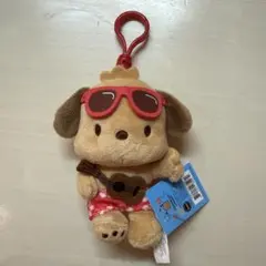 ポチャッコ ぬいぐるみ キーホルダー ハワイ ダイヤモンドヘッド限定
