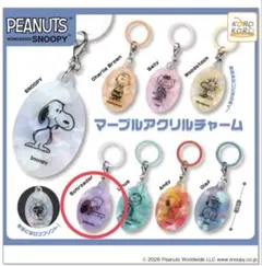 【新品】SNOOPY マーブルアクリルチャーム　Schroeder