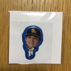 福岡ソフトバンクホークス 大津亮介 ぷくぷくシール - メルカリ
