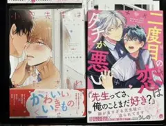 小泉先生はみだされたくない 二度目の恋はタチが悪い