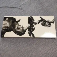 Mr.Children（ミスターチルドレン）ベストアルバム２点セット