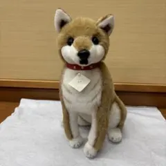 四季オリジナル　柴犬　おすわり　ぬいぐるみ　希少 2026年最新】四季オリジナルぬいぐるみの人気アイテム - メルカリ