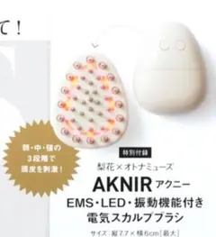 オトナミューズ【付録】AKNIR EMS・LED・振動機能付き電気スカルプブラシ