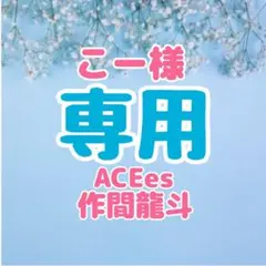こー様 専用　ACEes 作間龍斗