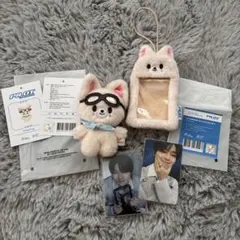 straykids PILOT ポロライド 8枚 セット コンプ straykids PILOT ポロライド 8枚 セット コンプ - メルカリ