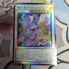 2025年最新】騎士皇プリメラ・プリムス シークレットの人気