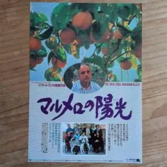 マルメロの陽光('92スペイン) DVD ヴィクトル・エリセ 2025年最新】Yahoo!オークション -マルメロの陽光の中古品・新品・未
