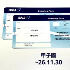 マルチ入場券　キッザニア甲子園 2枚セット　入場券　マルチチケット　ペア　招待券のサムネイル