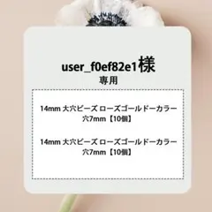 user_f0ef82e1様 専用 - 2点 まとめ買い