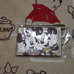 ディズニー　パスケース　ミッキー　ミニー