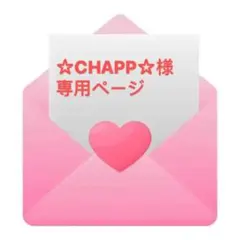 ☆CHAPP☆様 専用ページ ボンボンドロップシール