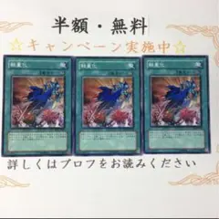軽量化【テコ】
