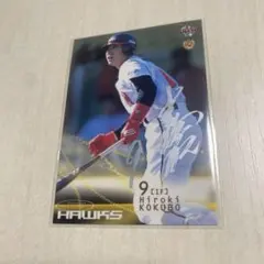 Item thumbnail for item df05aa86-0720-4647-984f-7d2e17bdd567