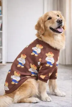 くま柄ドッグウェア 5XL 大型犬用 リード穴付き 韓国風 かわいい