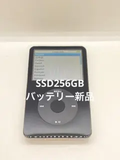 2026年最新】ipod ssd 256の人気アイテム - メルカリ