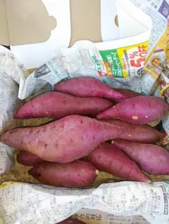 紅はるかゆうパケット便