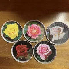 Item thumbnail for item 676bf7ce-7cc6-4b09-8edb-4ae6c4ffaae9