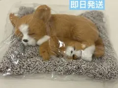 チワワ親子　置き物のサムネイル