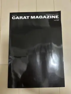 【送料込み】　SEVENTEEN セブチ　CARAT MAGAZINE