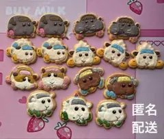 PUIPUIモルカー　クッキーマグネット