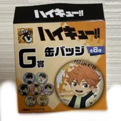 一番くじ G賞 缶バッチ 日向翔陽　ハイキュー!!