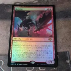 MTG 森の知恵 日本語 ボーダーレス foil スペシャルゲスト - メルカリ