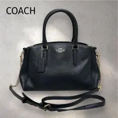 COACH（コーチ）2WAYバッグ ミニ セージ キャリオール F28977