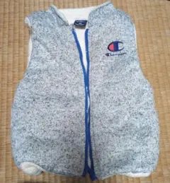 チャンピオン ベスト 120