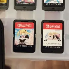 Switch ノラと皇女と野良猫ハート2 2個セット ゲームソフト　ノラとと